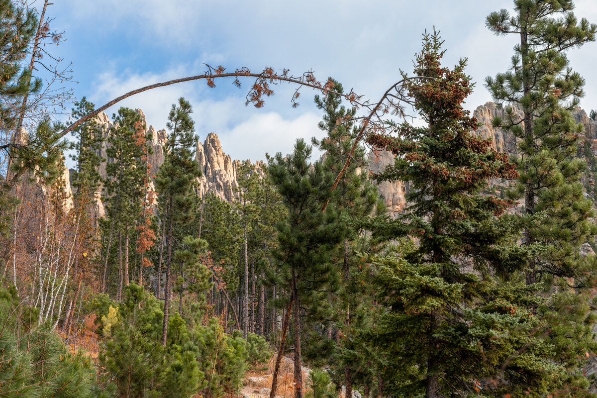 _DSC3656-NEF_DxO_DeepPRIMEXD-Pano-Edit.jpg
