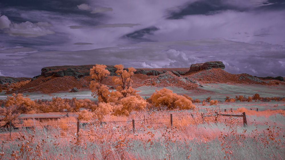 _DSC3812_WBbox_16x9_dw.jpg