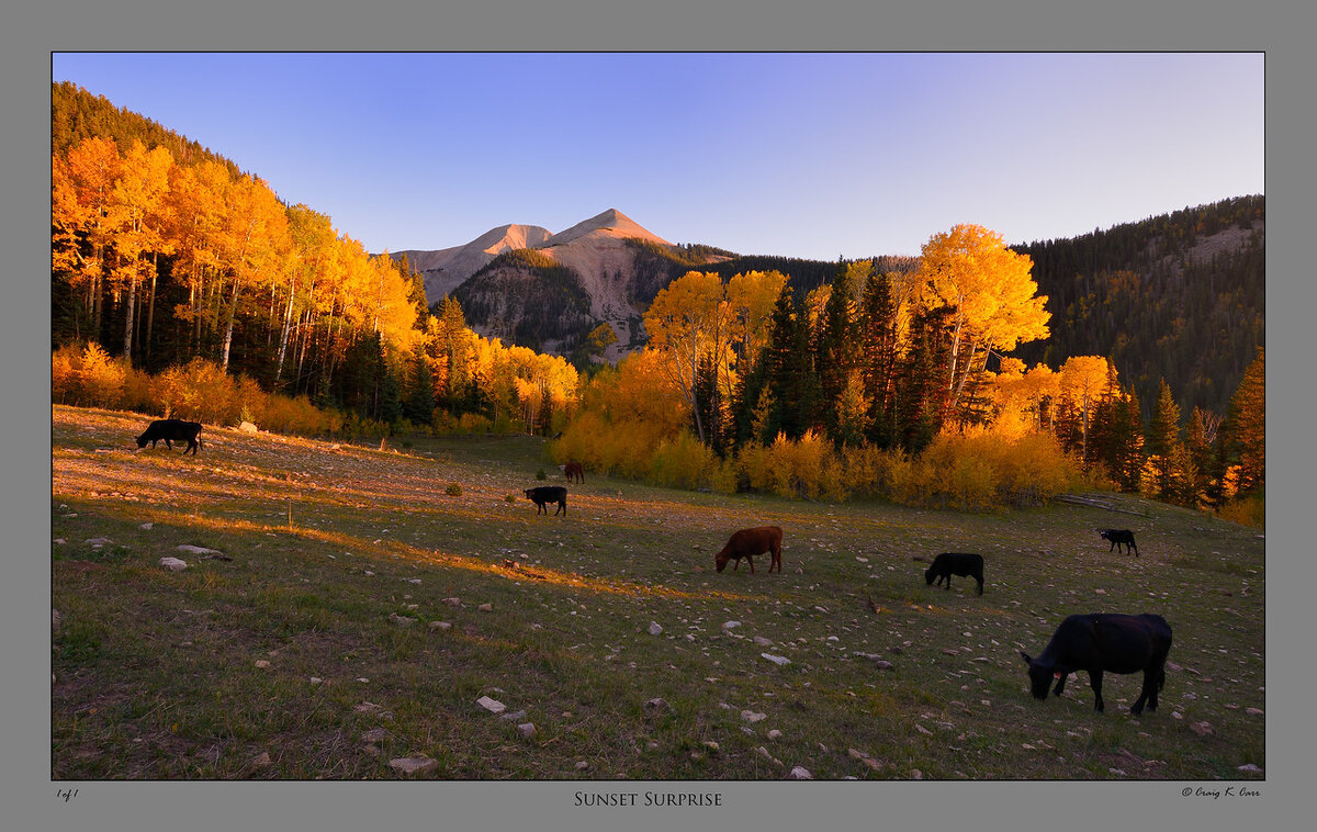 _DSC3836-X2.jpg