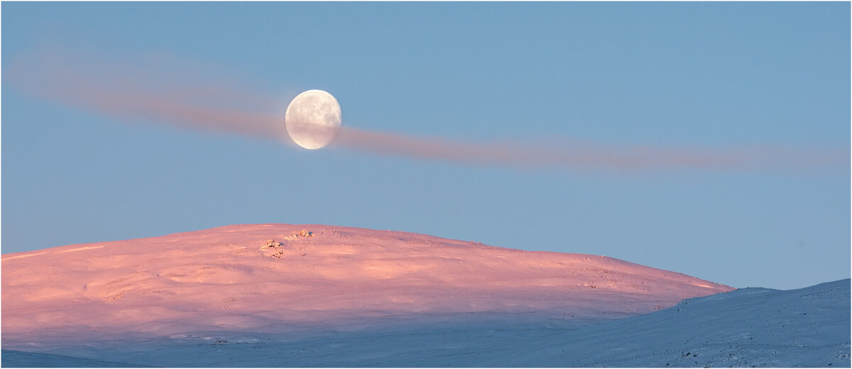 _DSC3872-1 white stroke brighter (3).jpg