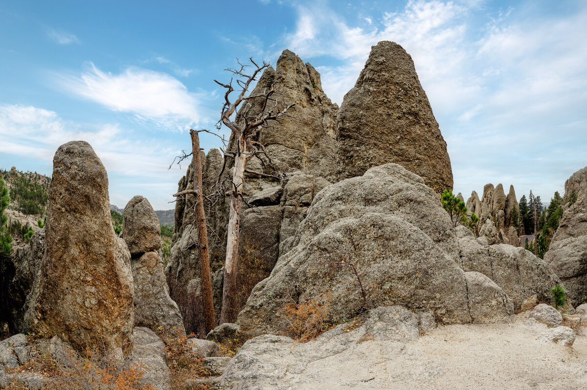 _DSC3973-NEF_DxO_DeepPRIME-Pano-Edit.jpg