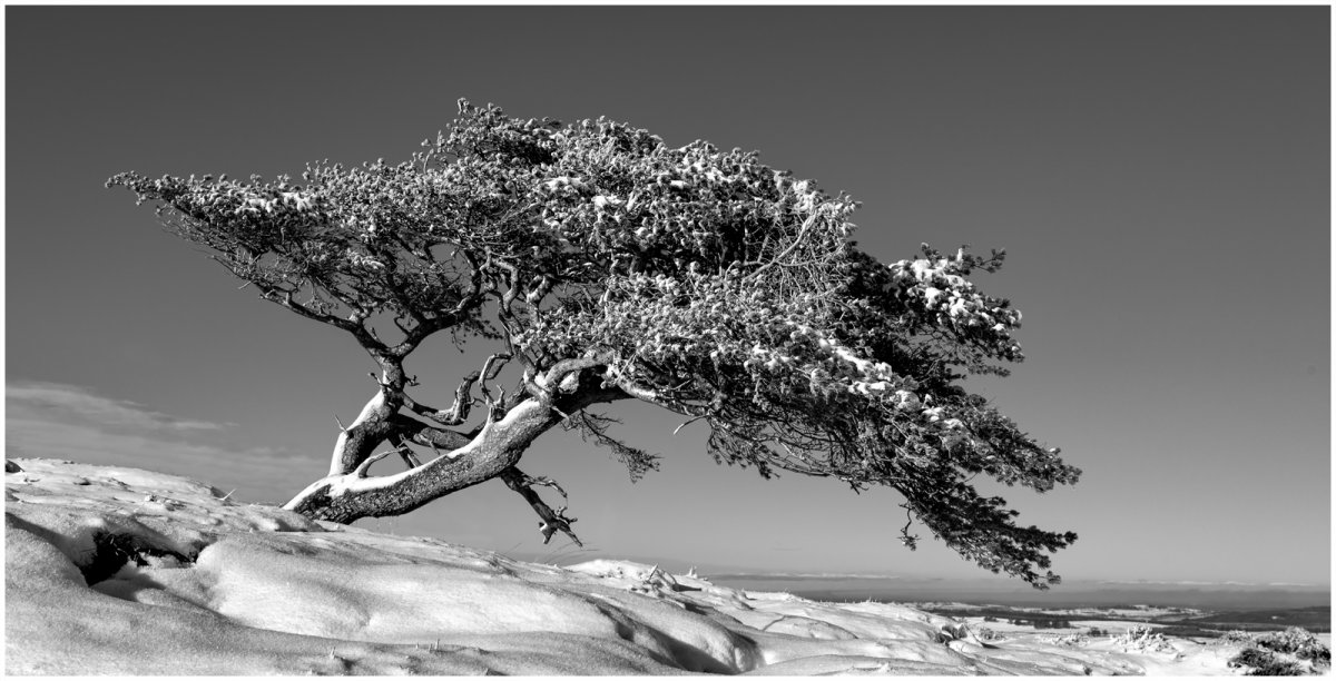 _DSC4061-1 mono 2.jpg