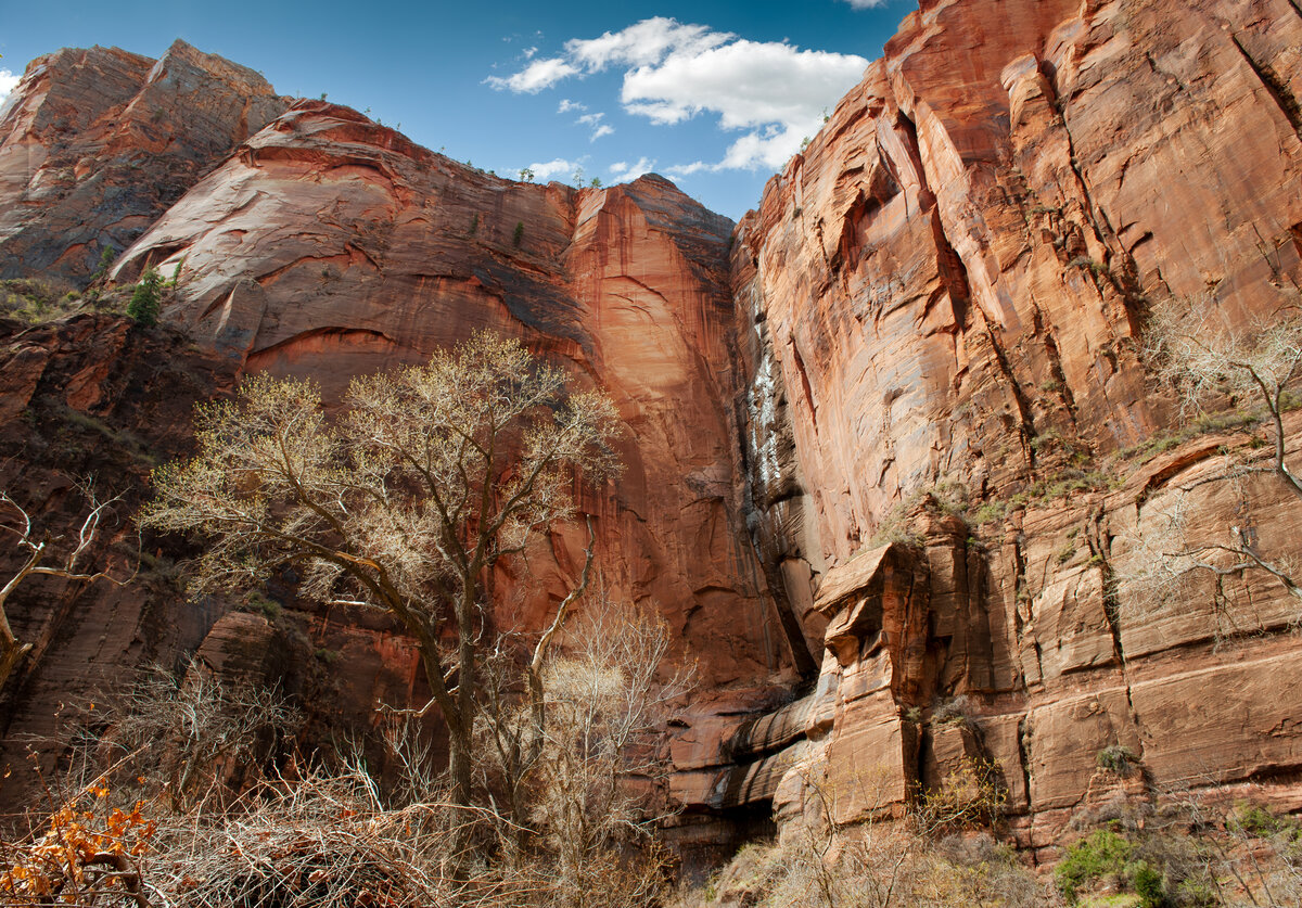 _DSC4147-Edit.jpg