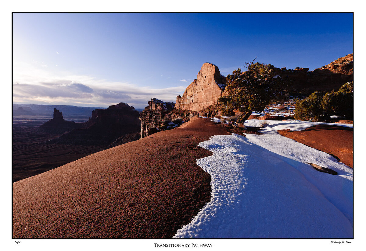 _DSC4175-X2.jpg