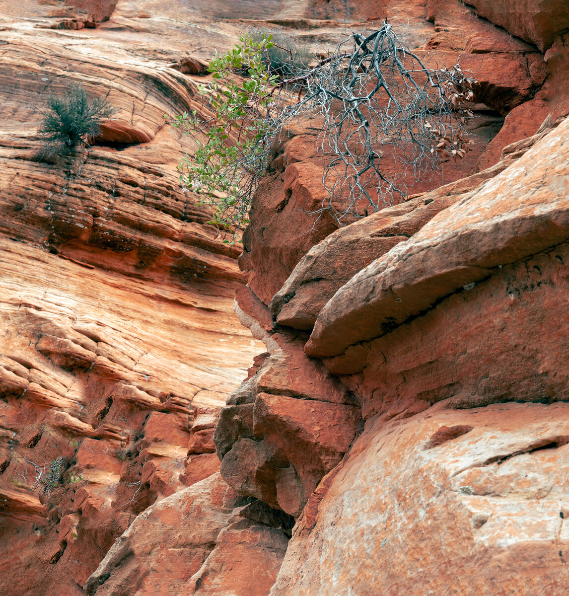 _DSC4234-Pano-Edit copy.jpg