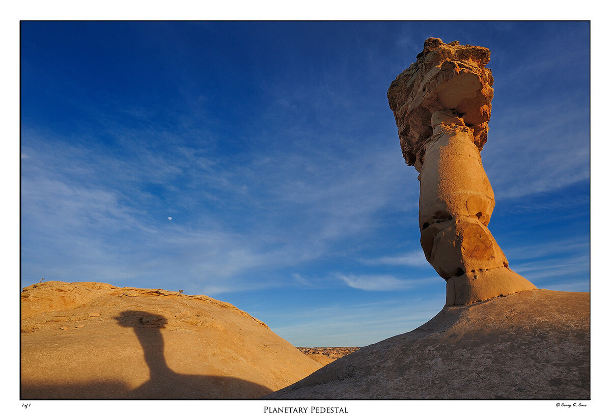 _DSC4292-X2.jpg