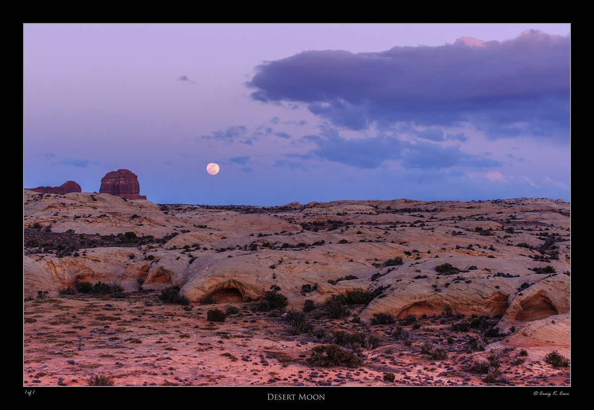 _DSC4365-X2.jpg