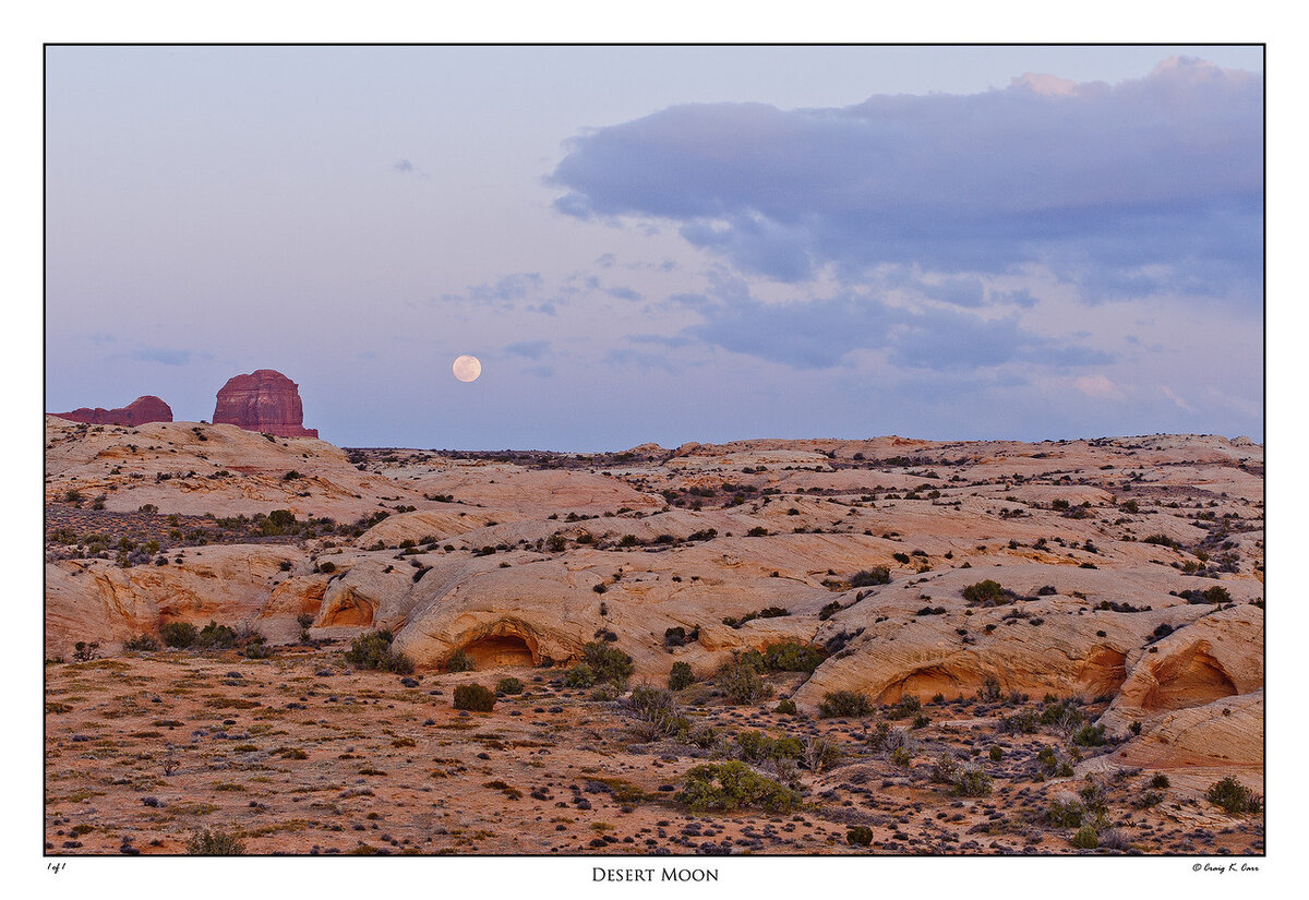 _DSC4366-X2.jpg