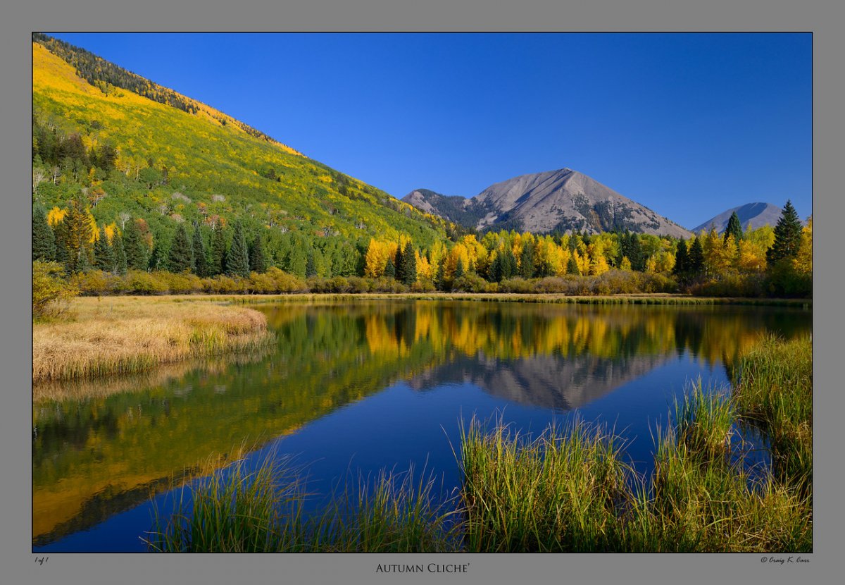 _DSC4417-X2.jpg