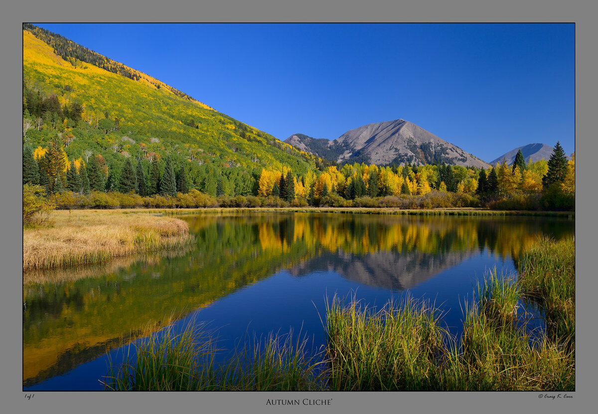 _DSC4417-X2.jpg