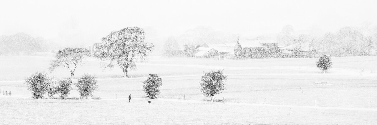 _DSC4431-2 left hand tree copy 2.jpg