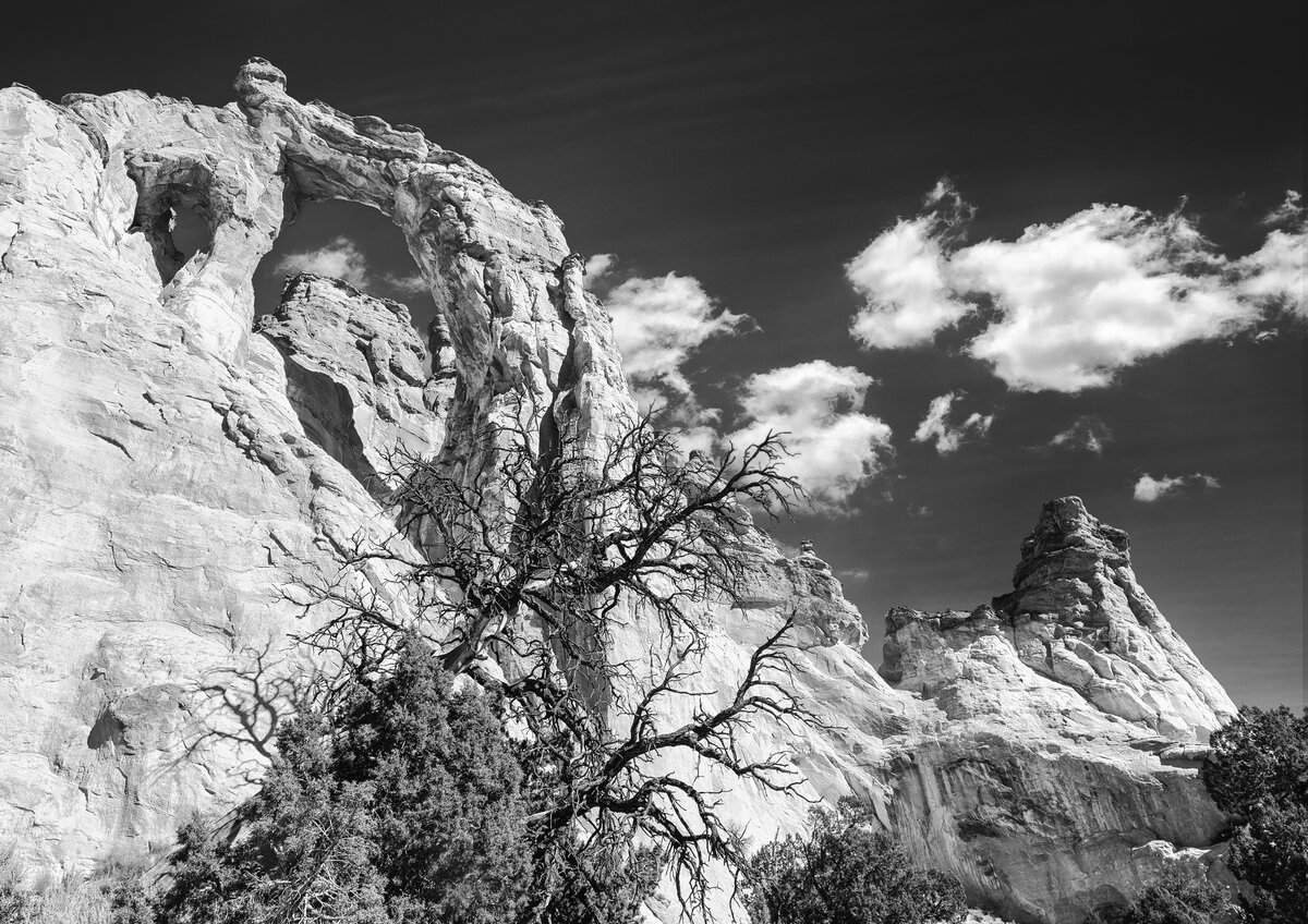 _DSC4450-B&W.jpg