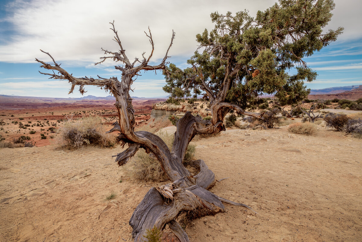 _DSC4467-Pano-2-Edit.jpg
