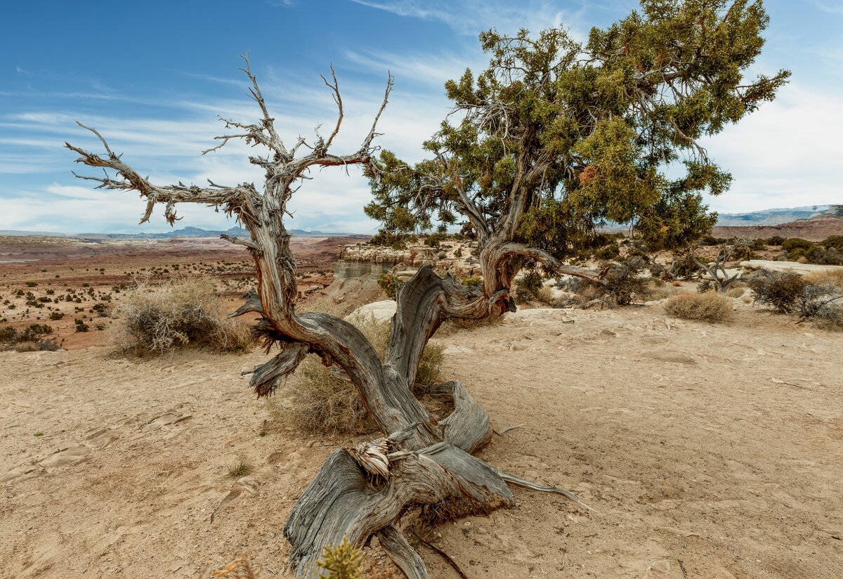 _DSC4467-Pano-Edit.jpeg