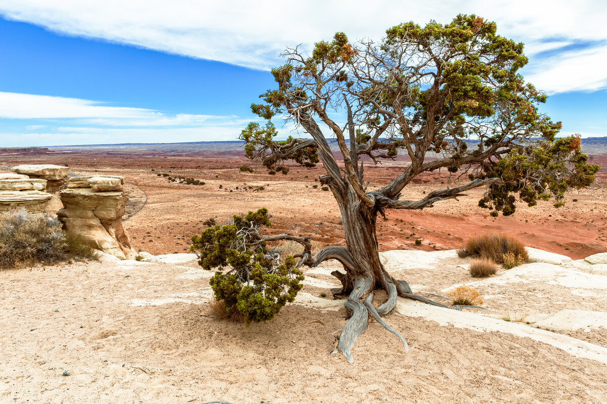 _DSC4487-Edit.jpg