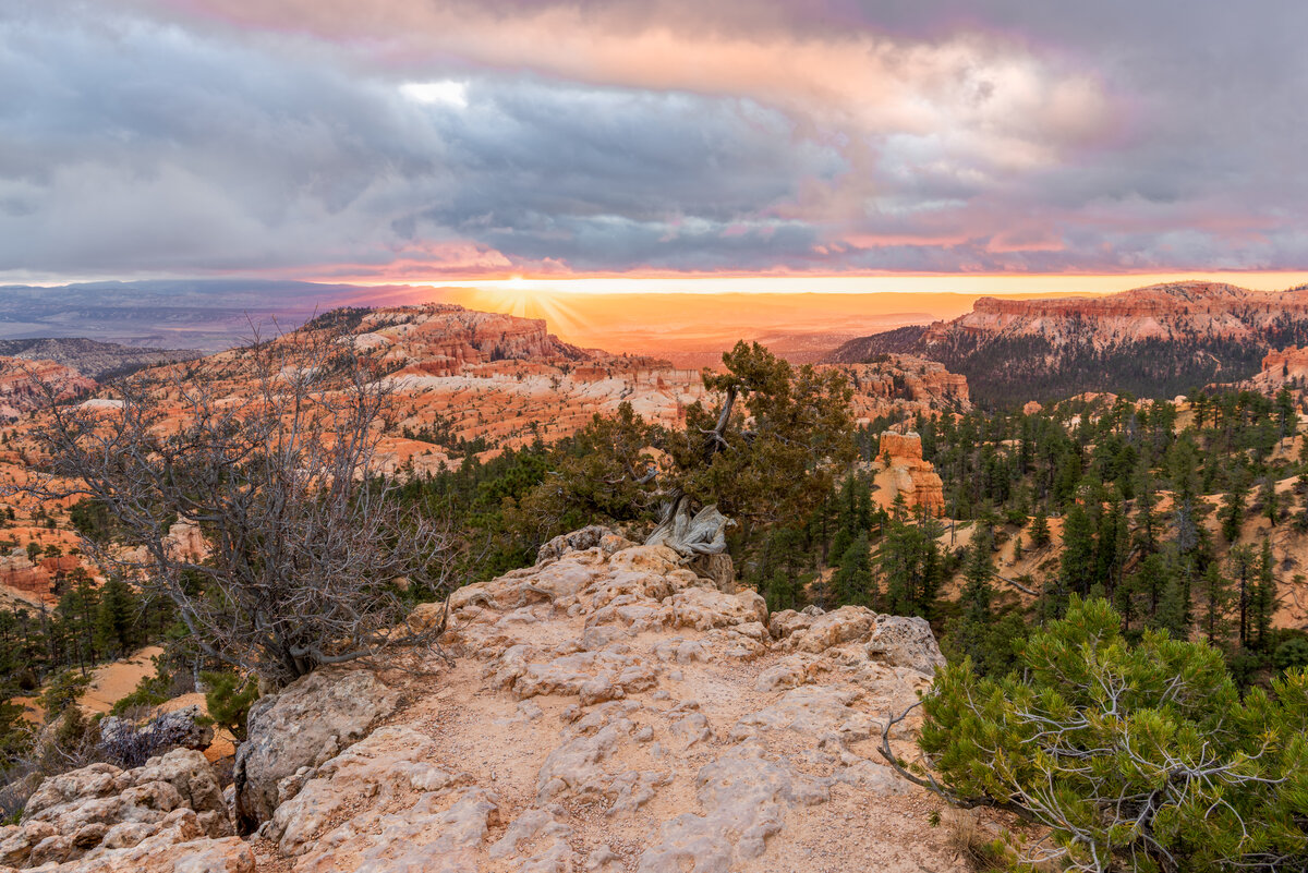 _DSC4519-HDR-Edit-2.jpg
