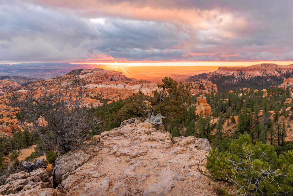 _DSC4519-HDR-Edit-Edit.jpg