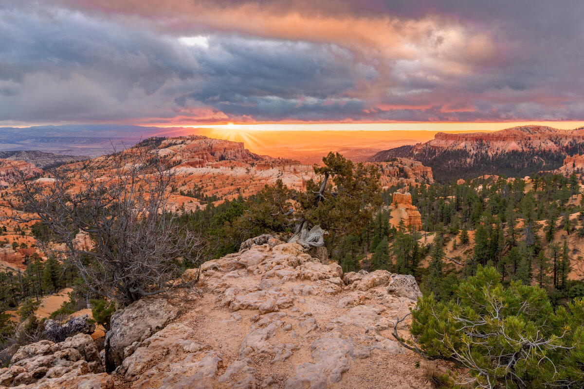 _DSC4519-HDR-Edit-Edit.jpg