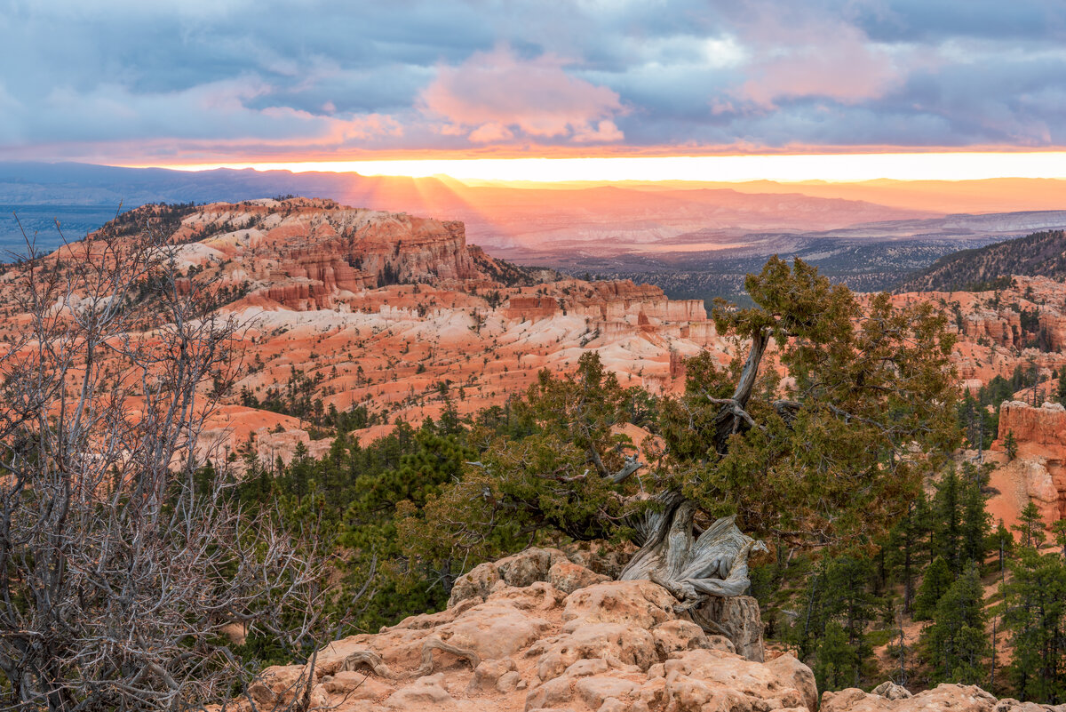 _DSC4528-HDR-Edit.jpg