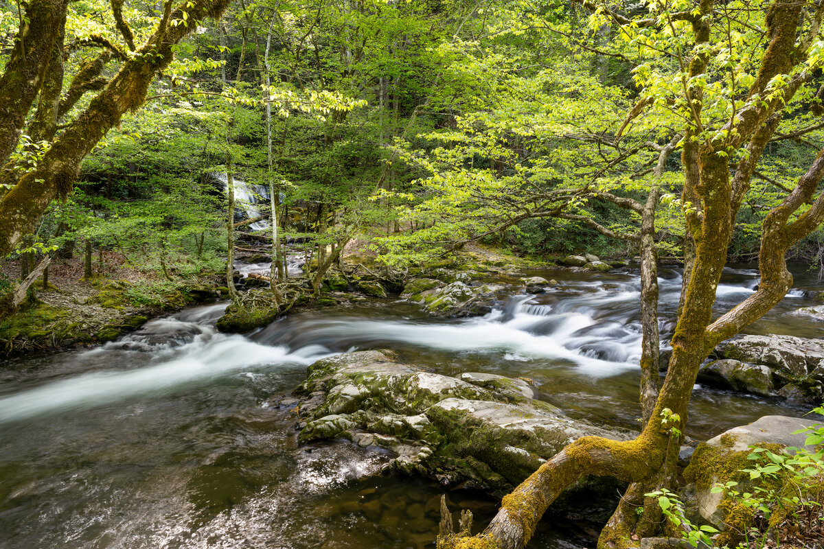 _DSC4594-NEF_DxO_DeepPRIMEXD-Edit.jpg