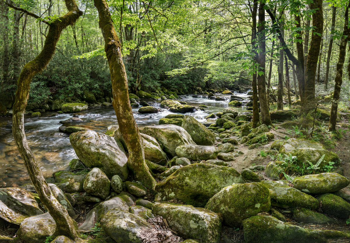 _DSC4643-NEF_DxO_DeepPRIMEXD-Pano-Edit.jpg