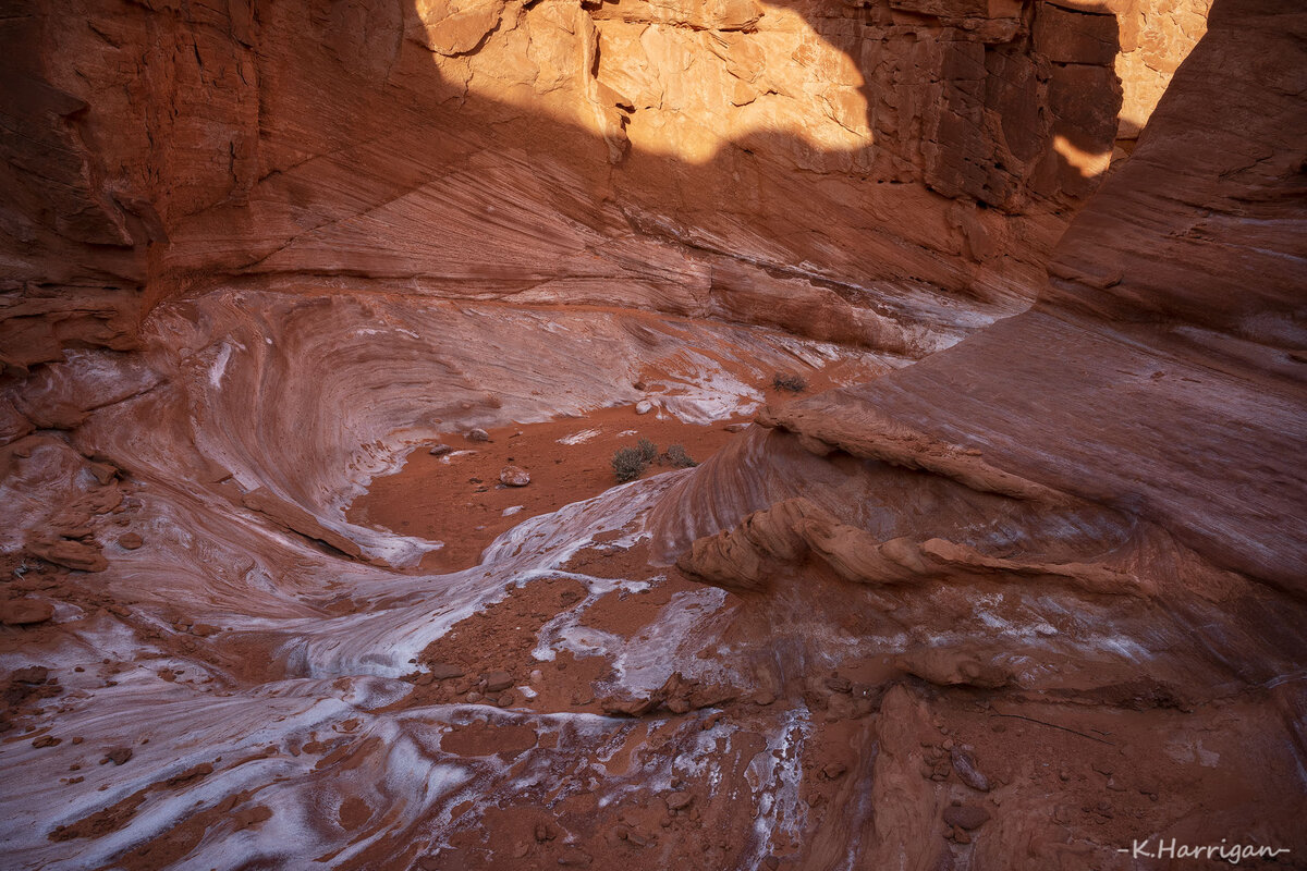 _DSC4659 copy.jpg