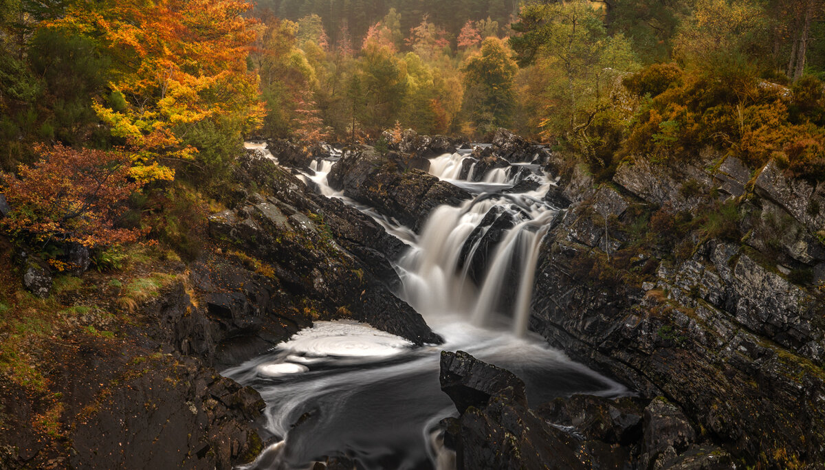_DSC4794-1 (12).jpg