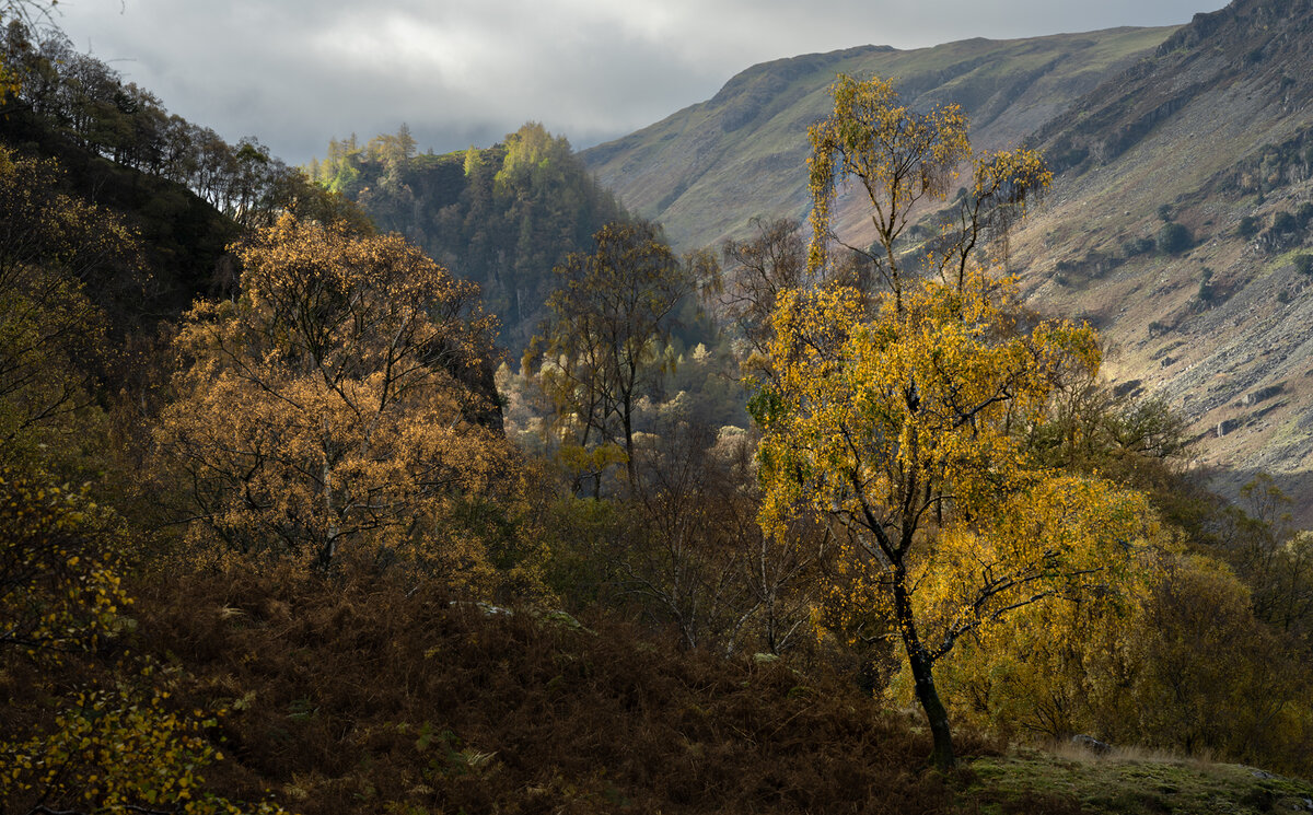 _DSC4811-2 from laptop copy.jpg