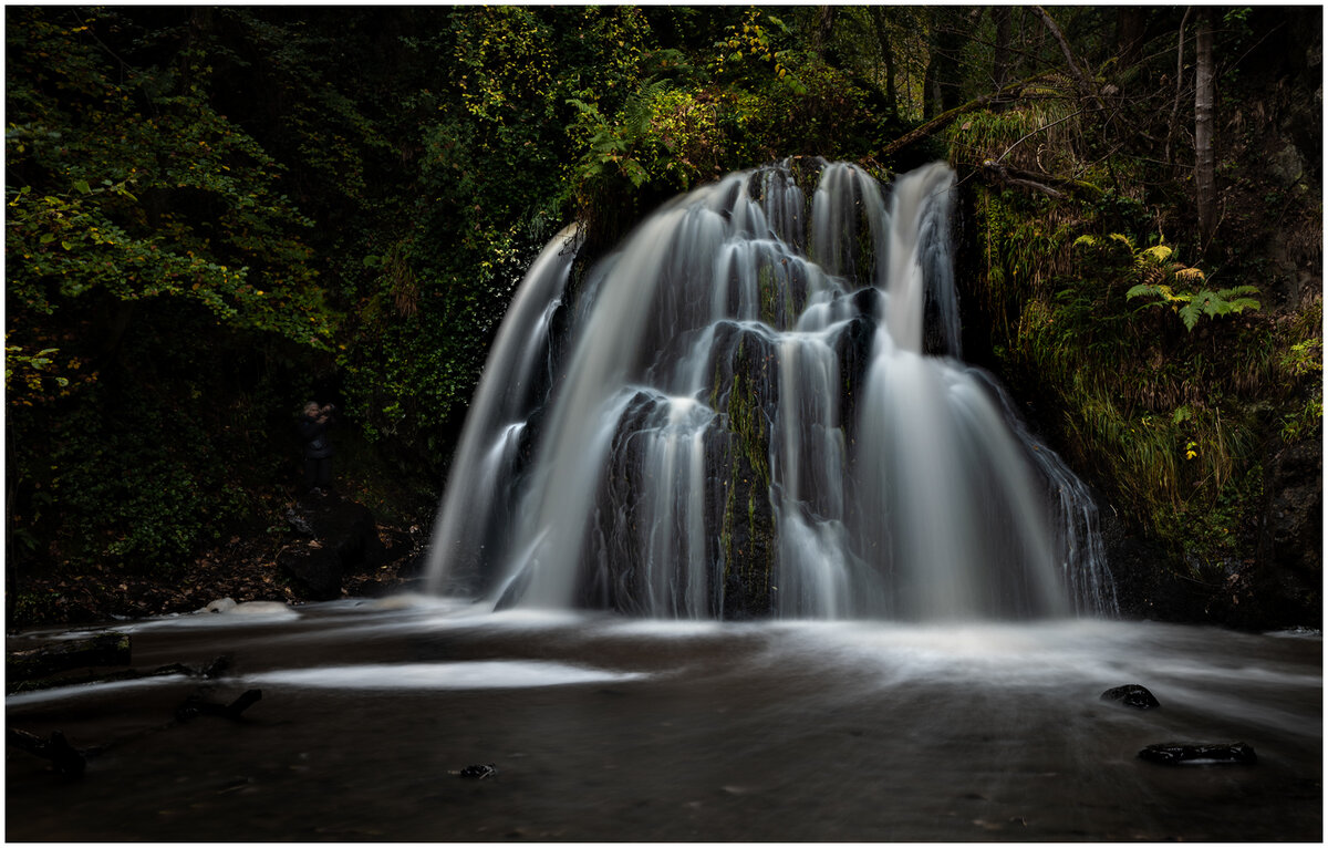 _DSC4825-1 white stroke.jpg