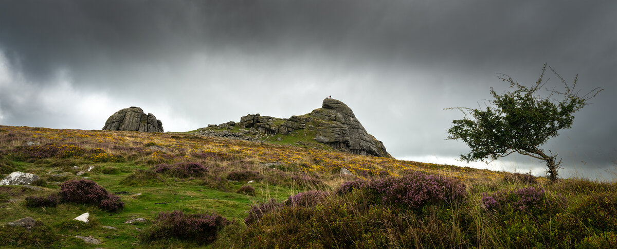 _DSC4829-1 copy.jpg