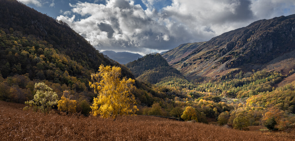 _DSC4830-2 from laptop copy.jpg