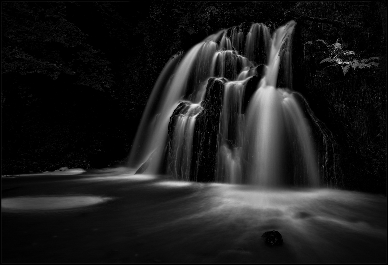 _DSC4831-1 mono.jpg