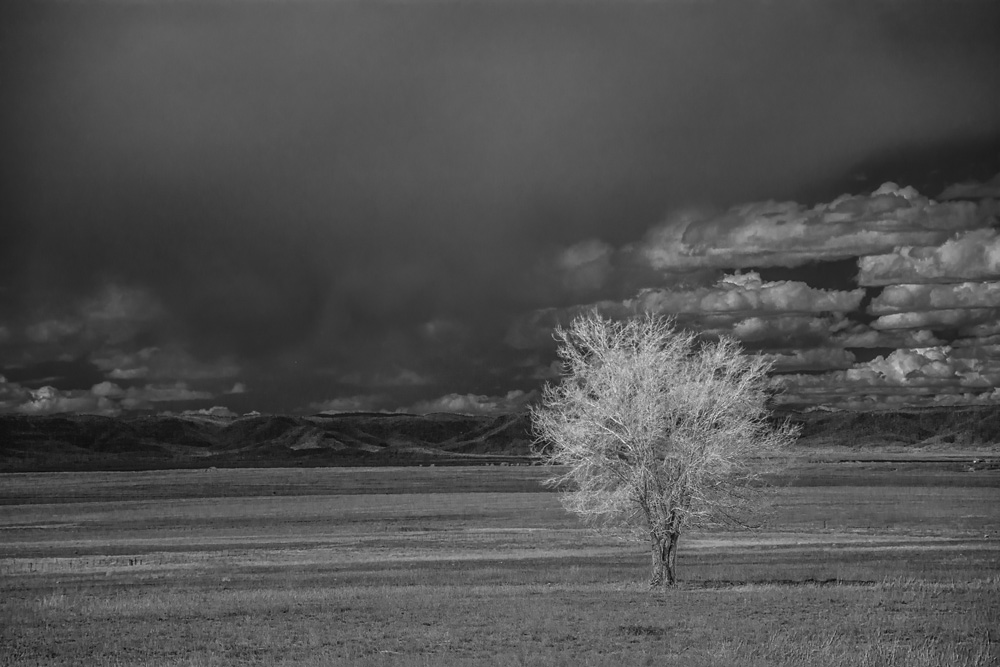 _DSC4835x_WBbox_BW_d1w.jpg