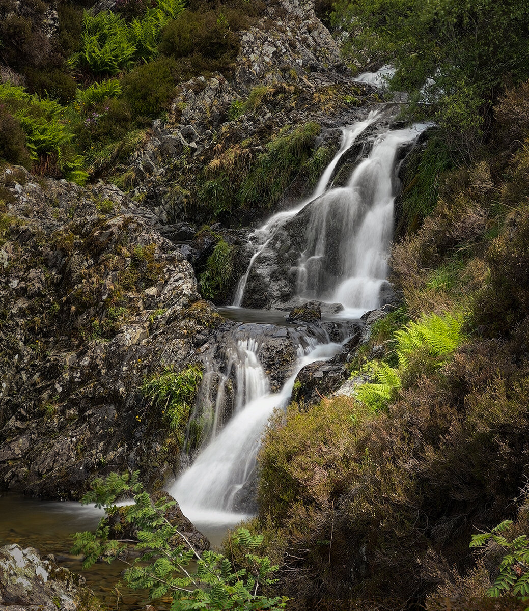 _DSC4844-1 phone.jpg