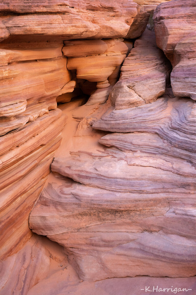 _DSC4872 copy 2.jpg