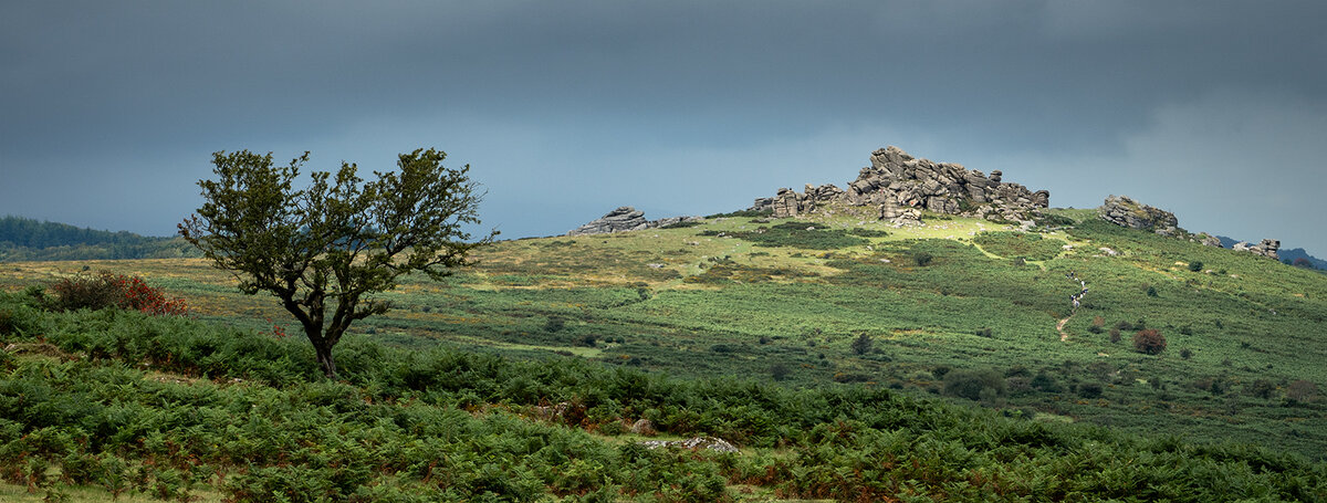 _DSC4903-2 cropped from laptop copy.jpg