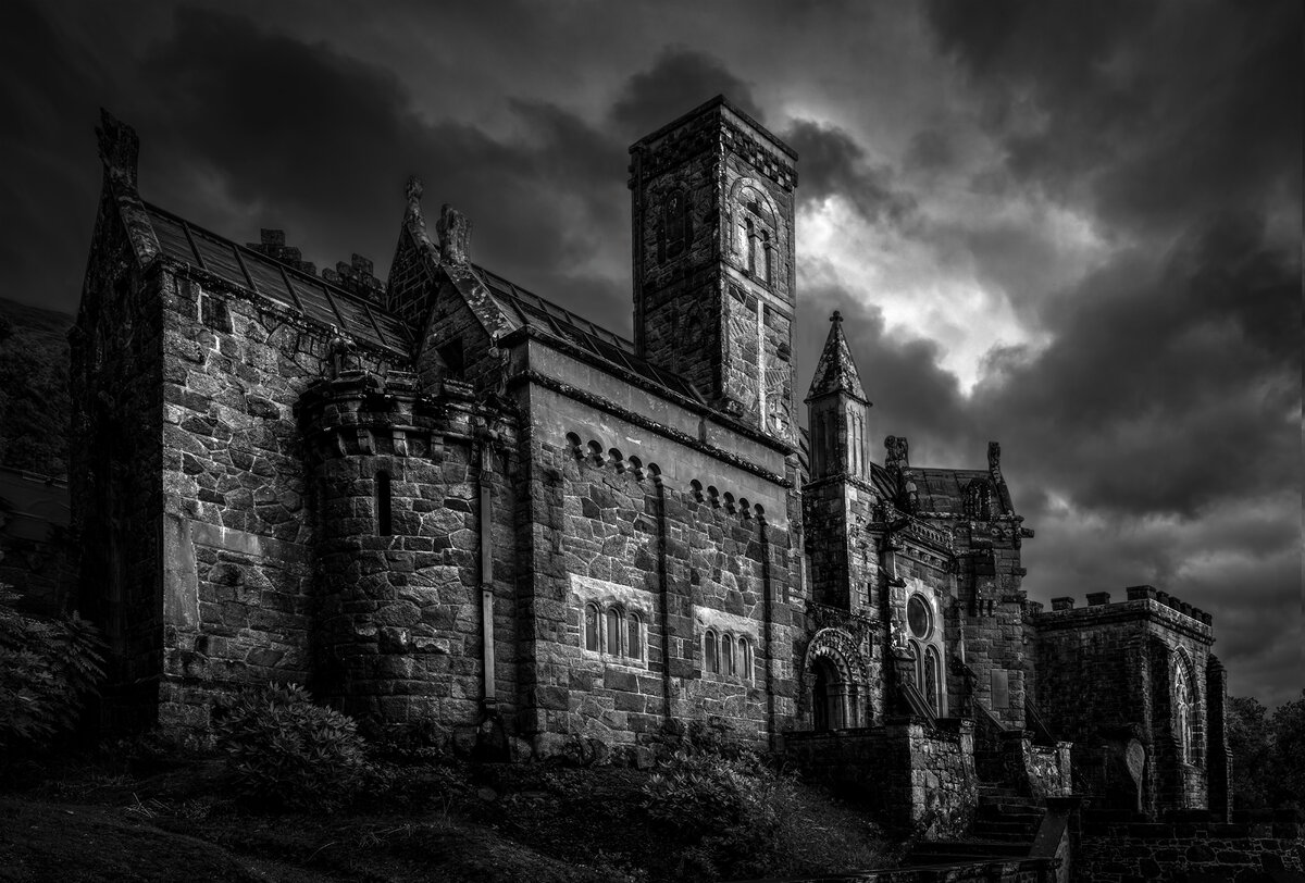 _DSC4914-ARW_DxO_DeepPRIME-1 mono v4 copy.jpg