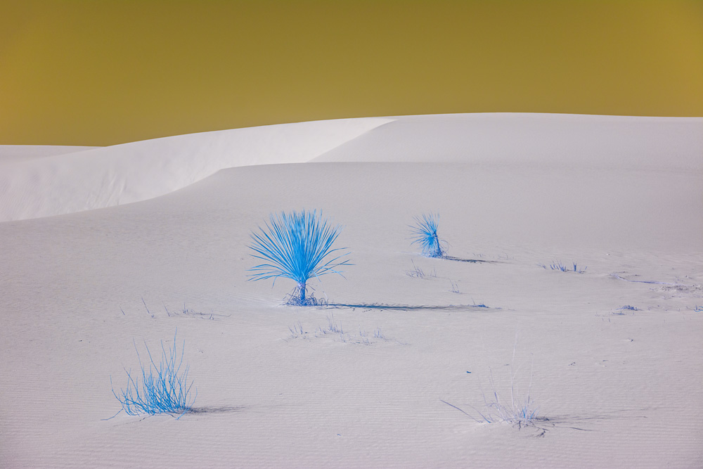 _DSC4942_WBbox_dw.jpg