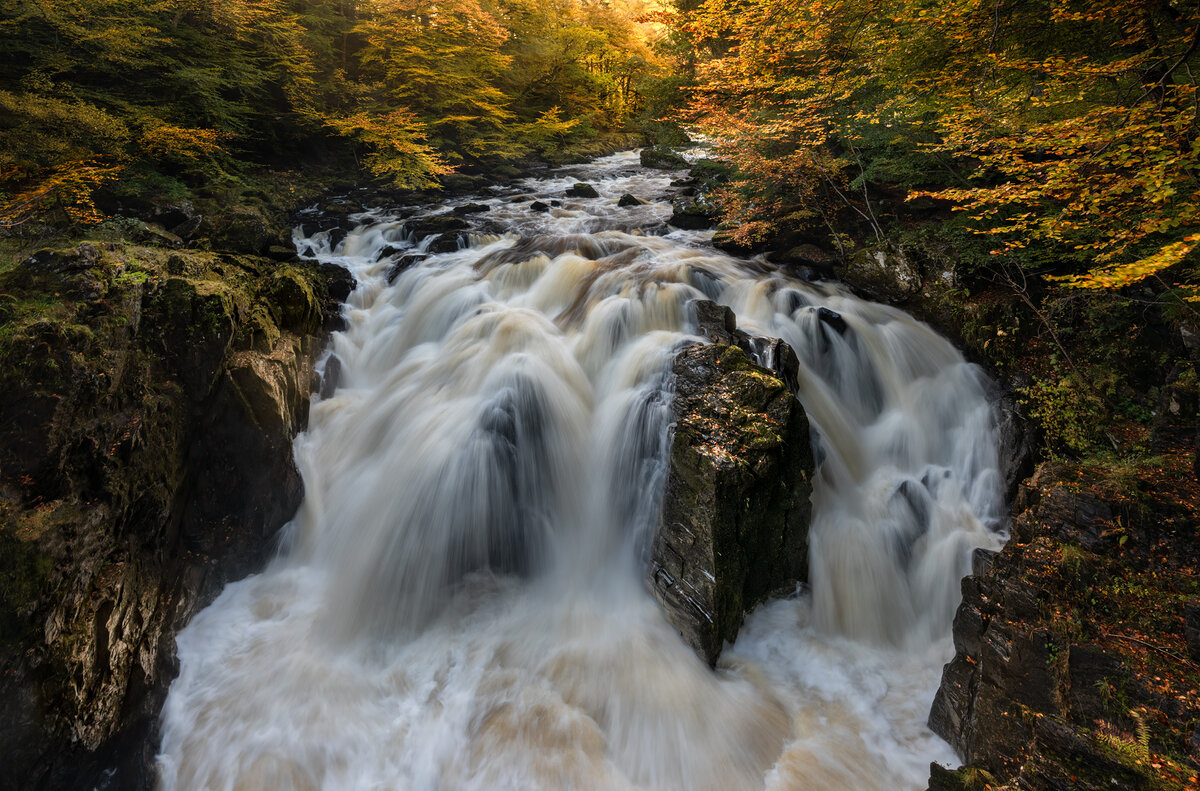 _DSC5002-1 copy.jpg