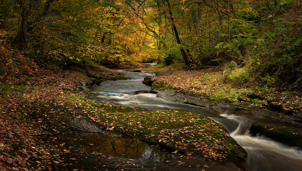 _DSC5032-1 copy.jpeg