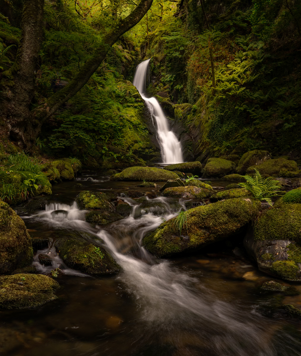 _DSC5065-1 copy (12).jpg