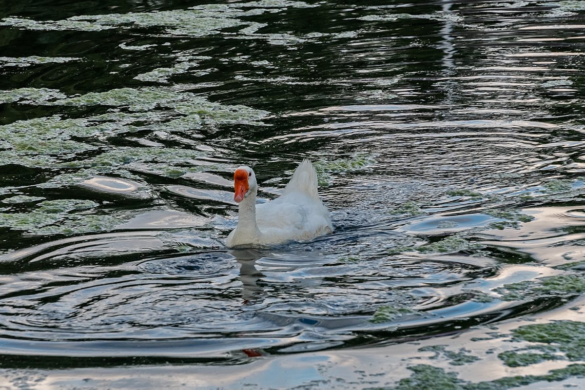 _DSC5074_dw.jpg
