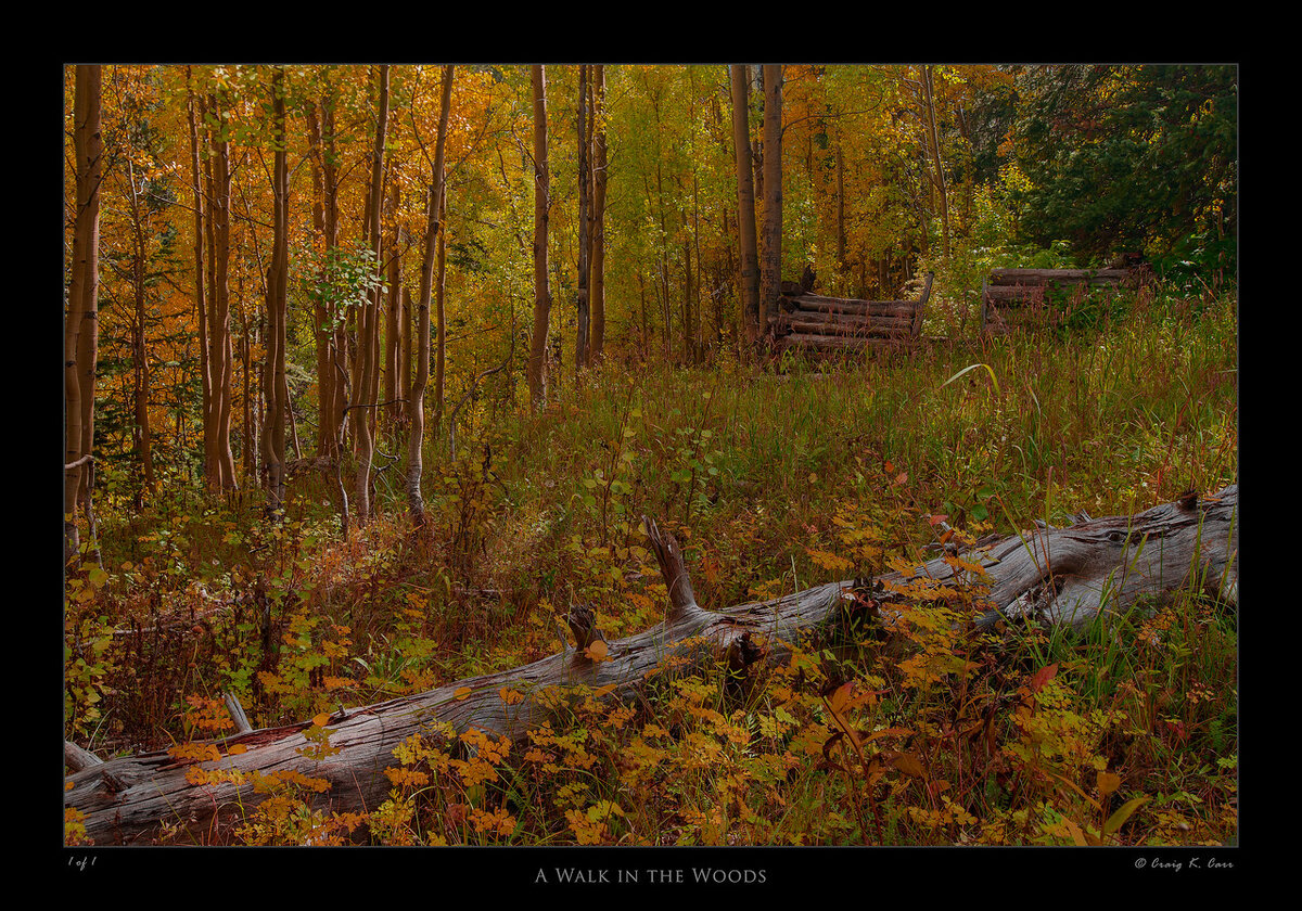 _DSC5107_006292-X2.jpg