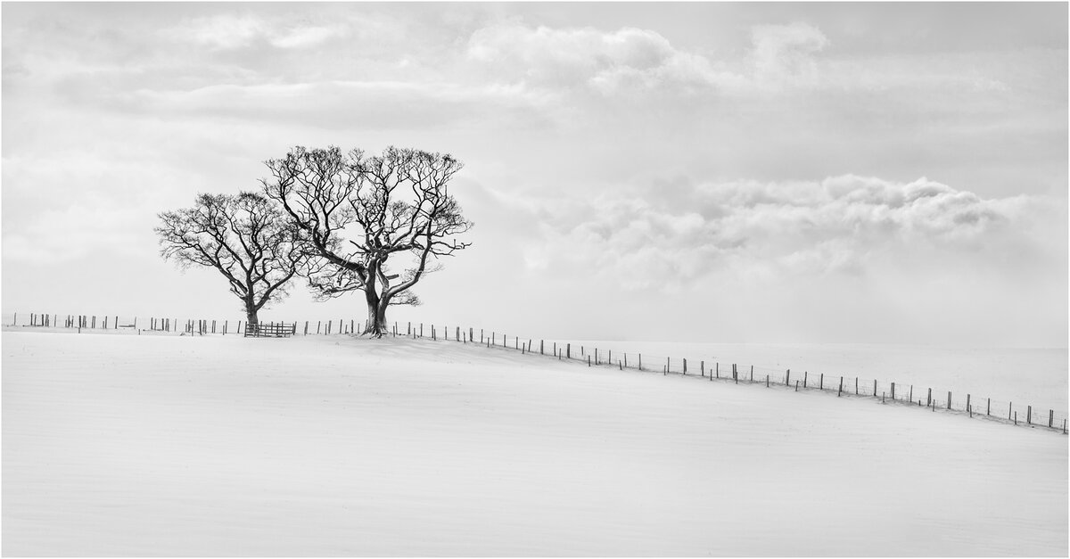 _DSC5152-1 cropped 5 1600 (3).jpg
