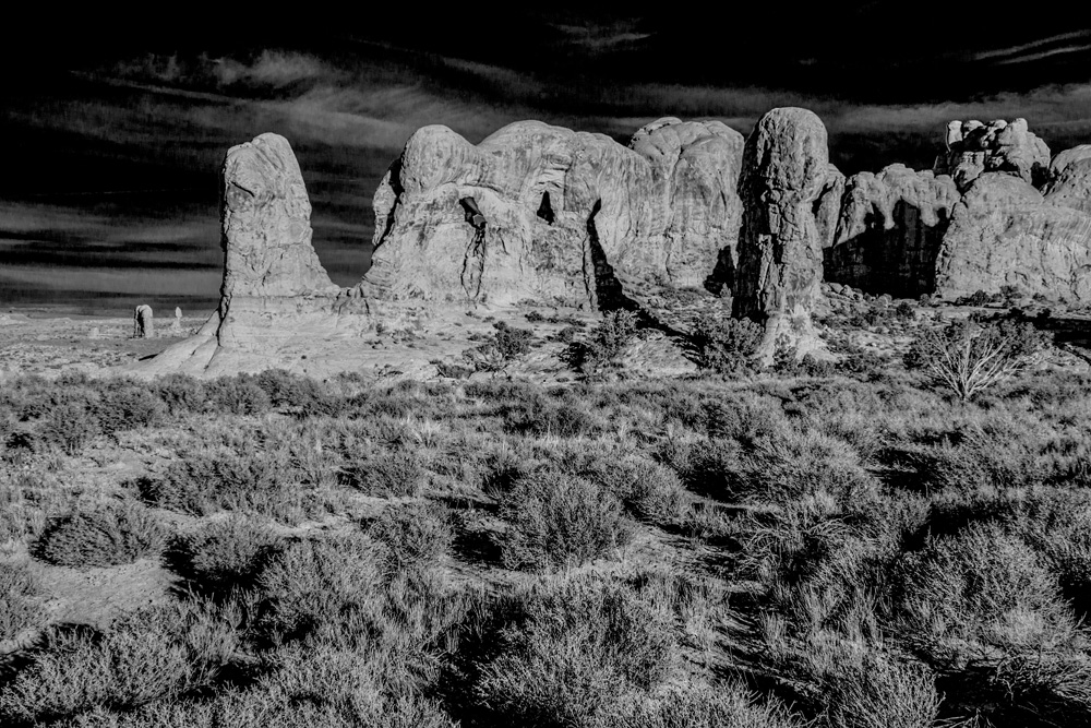 _DSC5205_WBbox_NoChnlSwap_BW_d1w.jpg