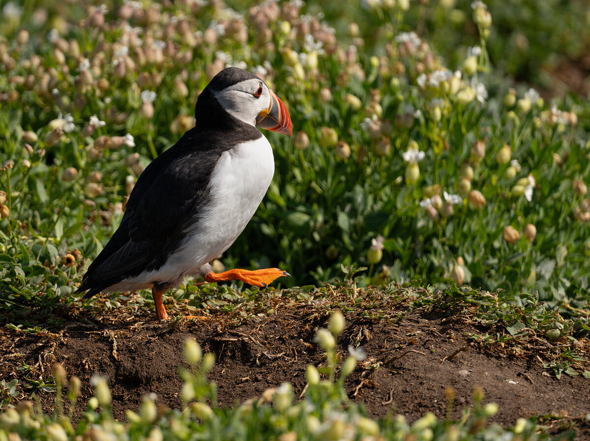 _DSC5216-1 from laptop copy.jpg