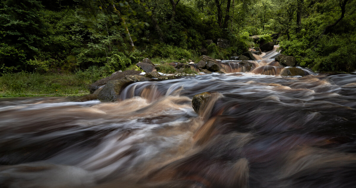_DSC5220-1 copy.jpg