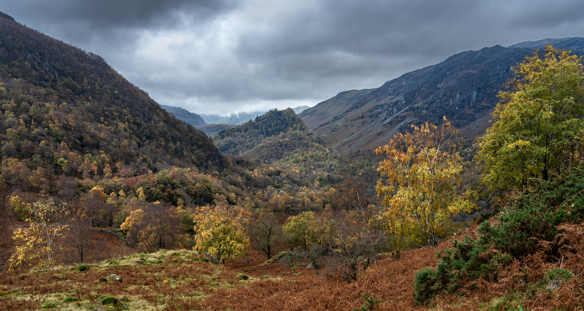 _DSC5295-1 copy.jpg