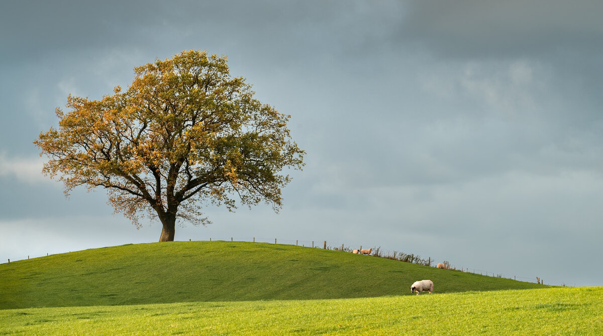 _DSC5318-2 copy.jpeg