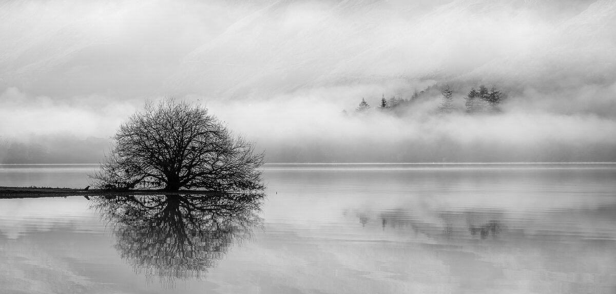 _DSC5432-2 mono from laptop.jpg